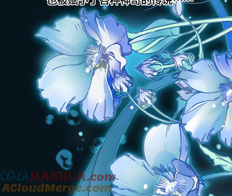 第62话冥界之花-隐世华族-米沙/翻翻动漫（第10张）