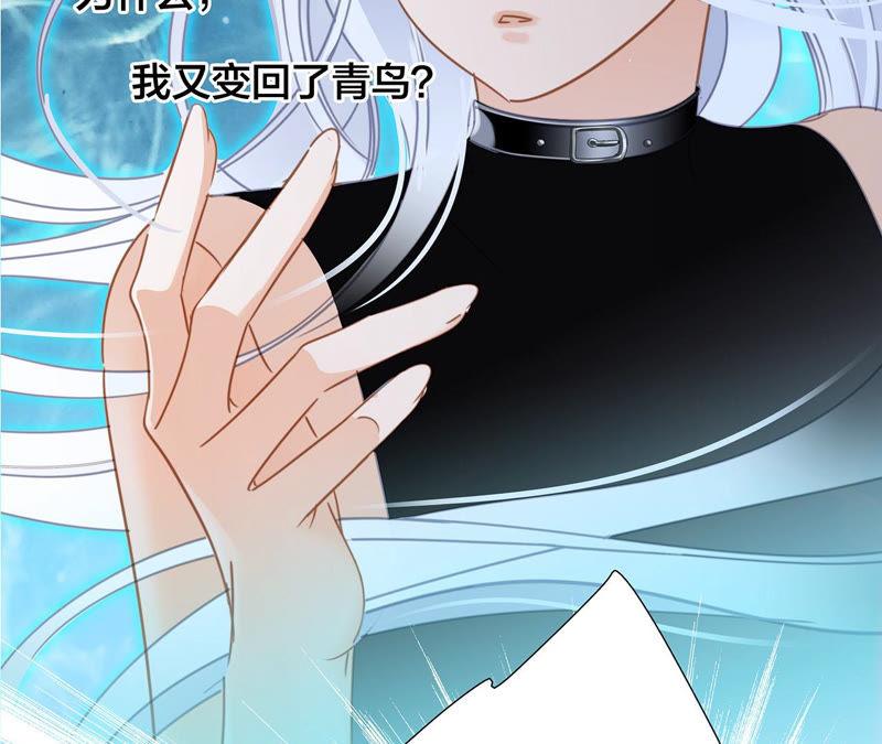 第66话追踪-隐世华族-米沙/翻翻动漫（第5张）