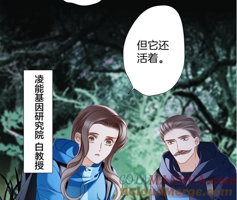 第81话身份（上）特别篇-隐世华族-米沙/翻翻动漫（第28张）