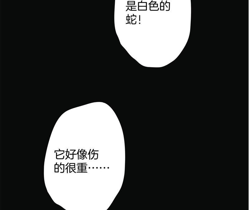 第81话身份（上）特别篇-隐世华族-米沙/翻翻动漫（第27张）