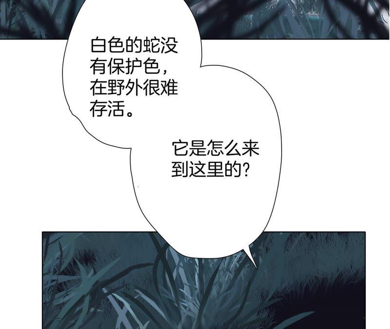 第81话身份（上）特别篇-隐世华族-米沙/翻翻动漫（第30张）