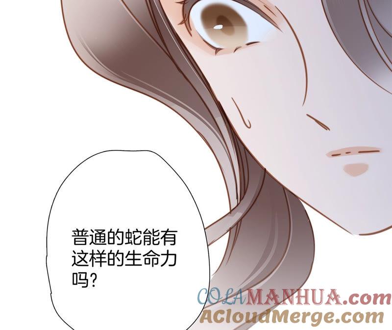 第81话身份（上）特别篇-隐世华族-米沙/翻翻动漫（第37张）