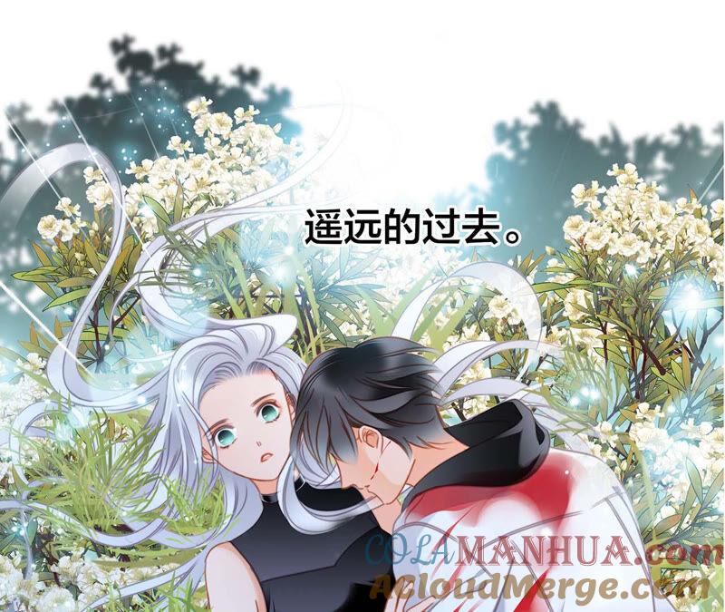 栖息地剧情梳理特别篇-隐世华族-米沙/翻翻动漫（第37张）
