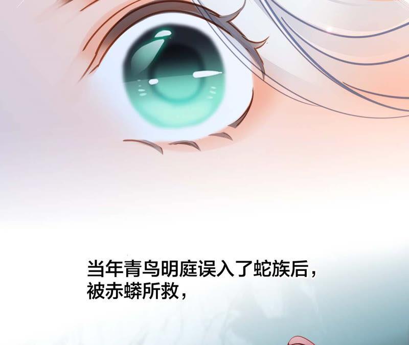 栖息地剧情梳理特别篇-隐世华族-米沙/翻翻动漫（第42张）