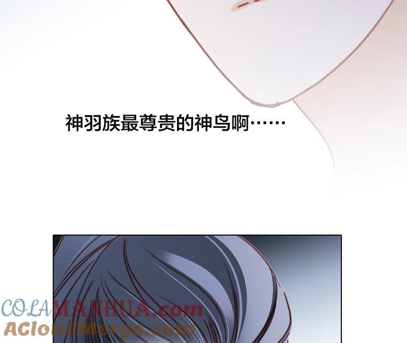 第83话群鸟-隐世华族-米沙/翻翻动漫（第25张）