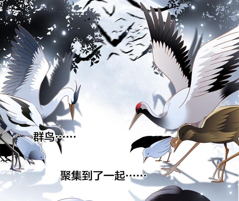 第83话群鸟-隐世华族-米沙/翻翻动漫（第6张）