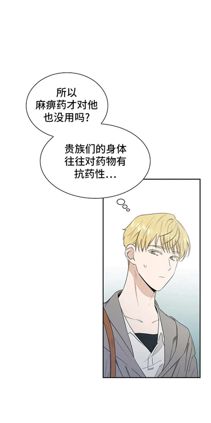 第4章：贵族小孩-姻缘天注定-ROAMM（第13张）