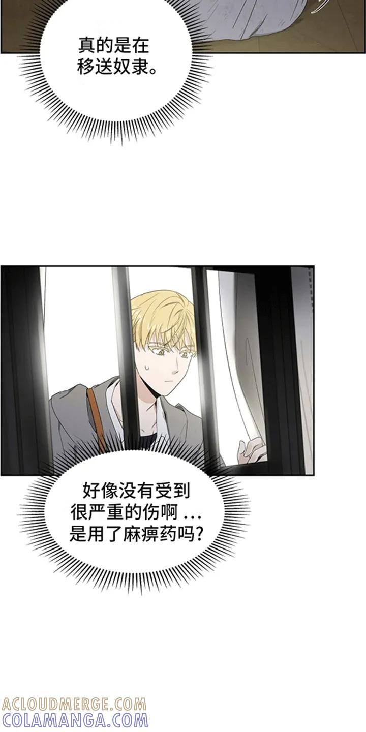 第4章：贵族小孩-姻缘天注定-ROAMM（第4张）