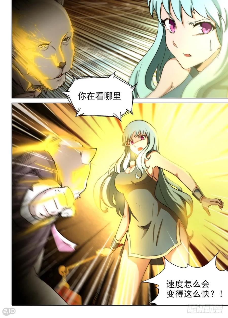 15.jpg