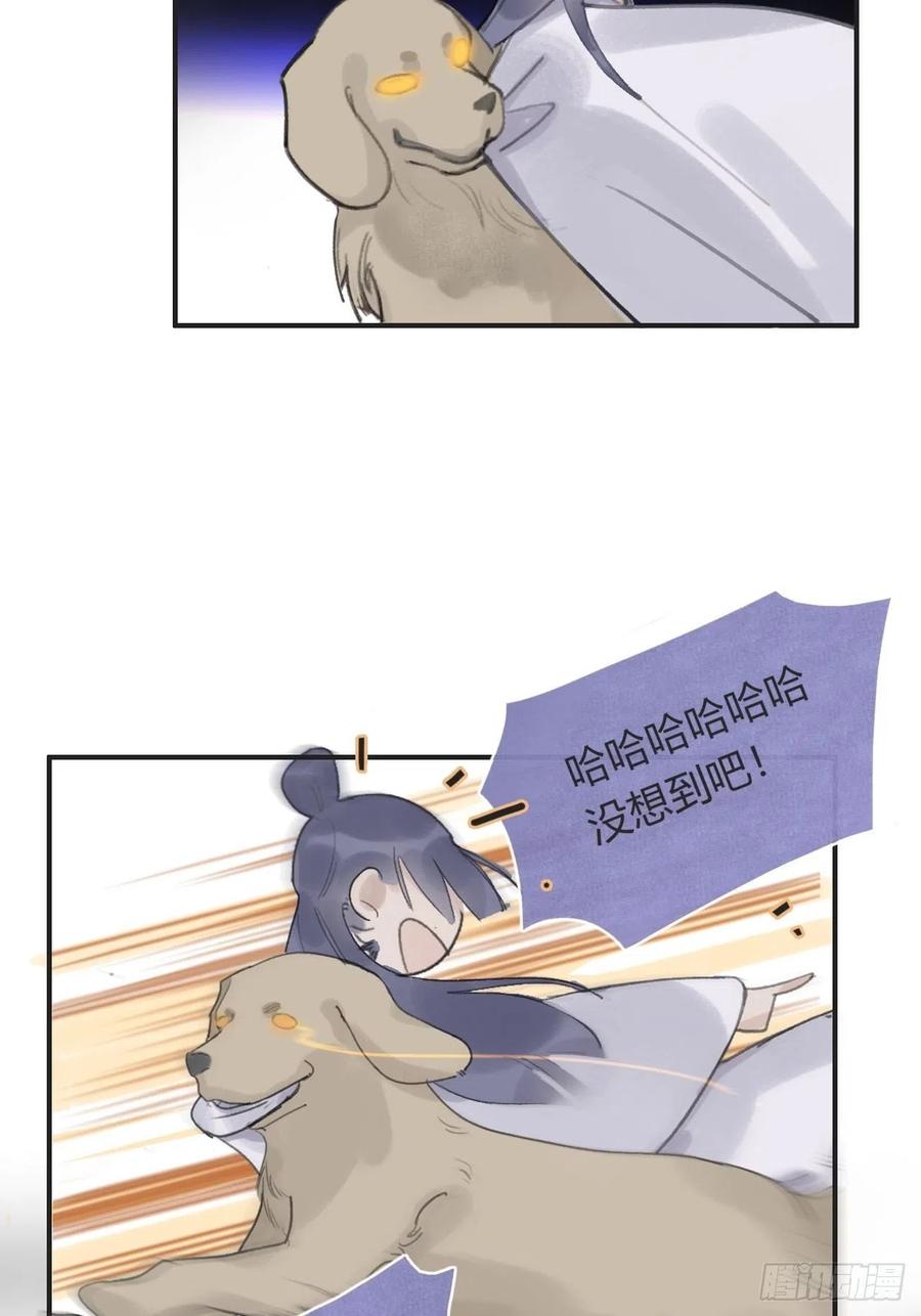 20.jpg