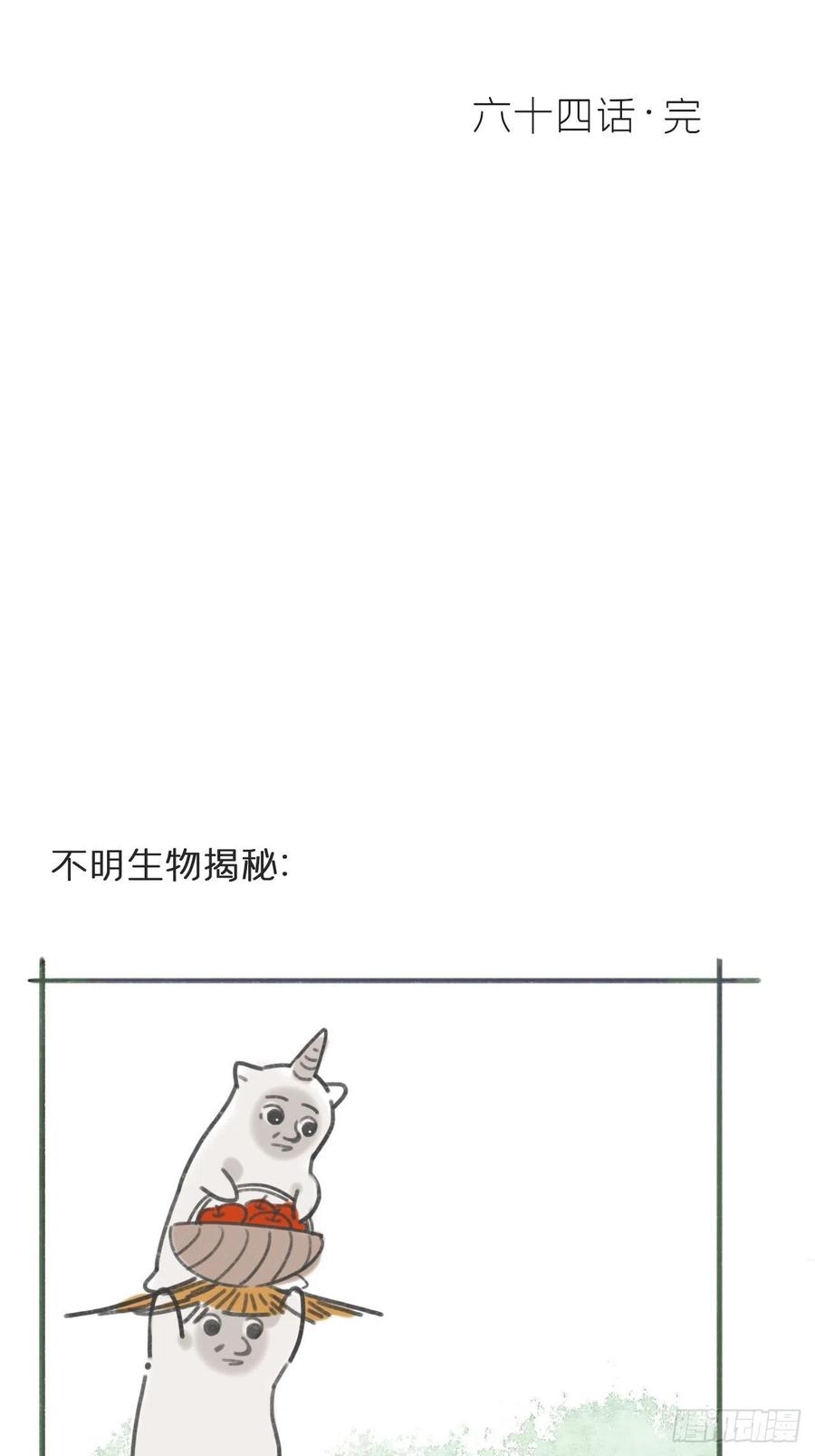 65.jpg