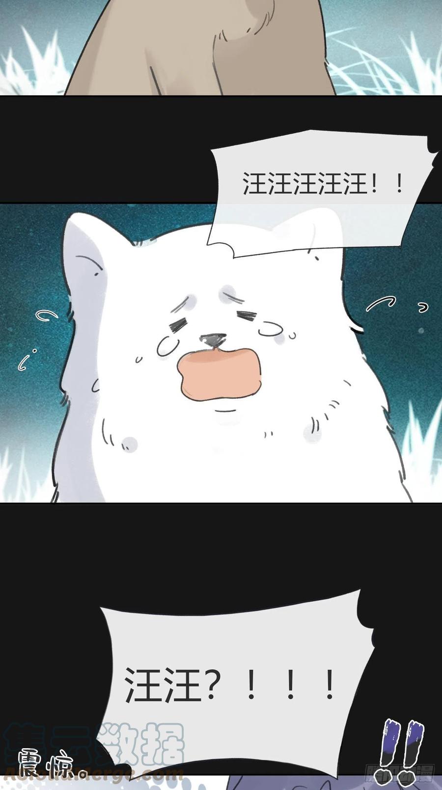 61.jpg