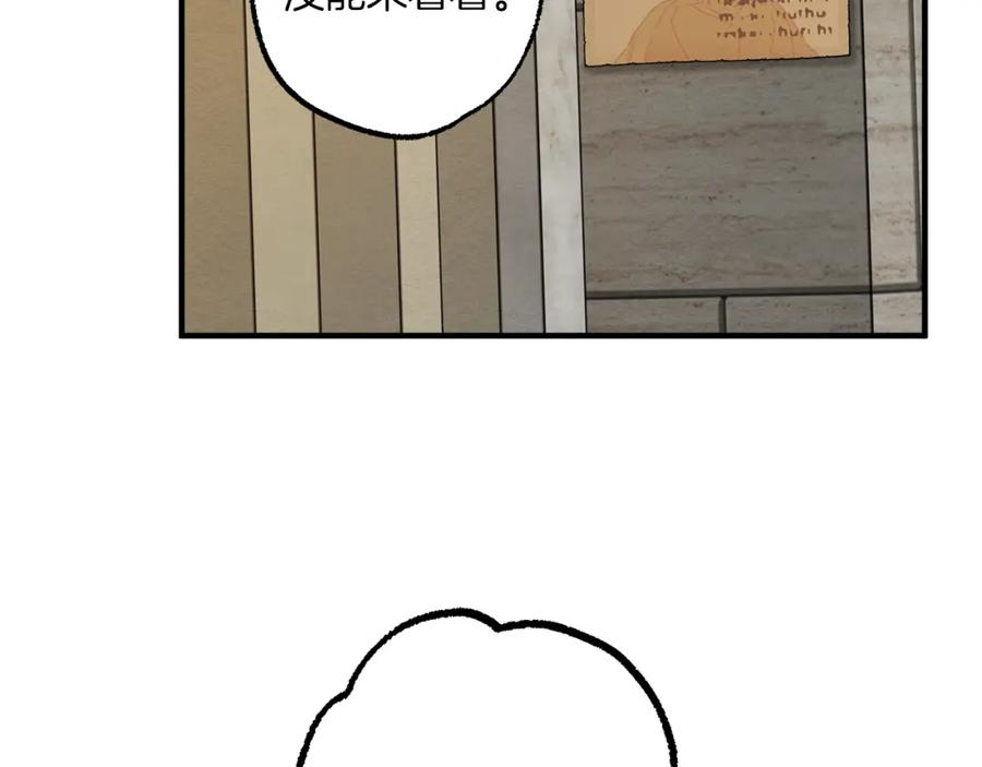 135.jpg