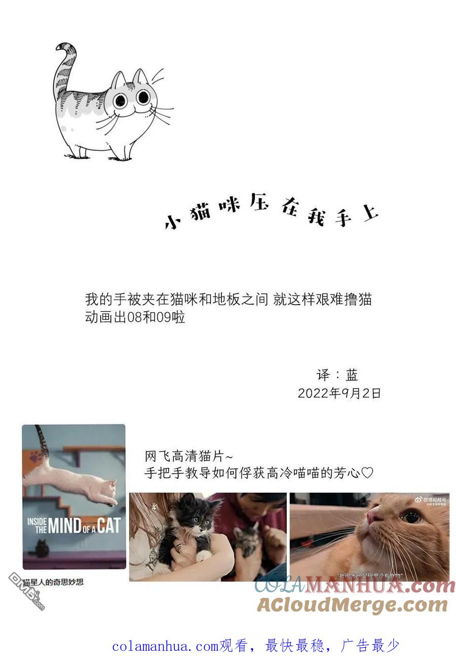 第130话-关于养猫我一直是新手-キュルZ（第2张）