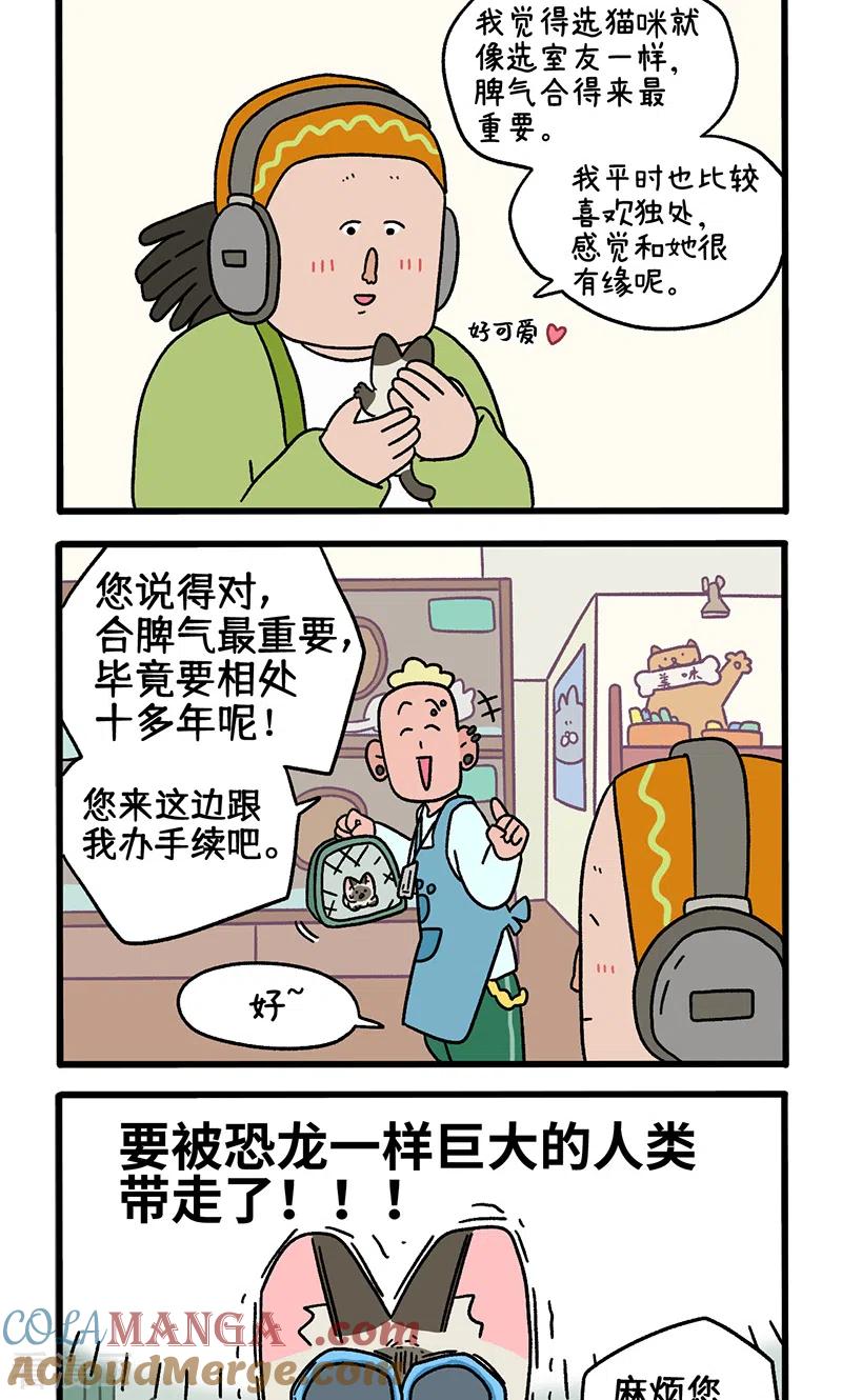 番外15下默默的新生活1-阿满和麦茶-新漫画 日胖大海寺（第2张）