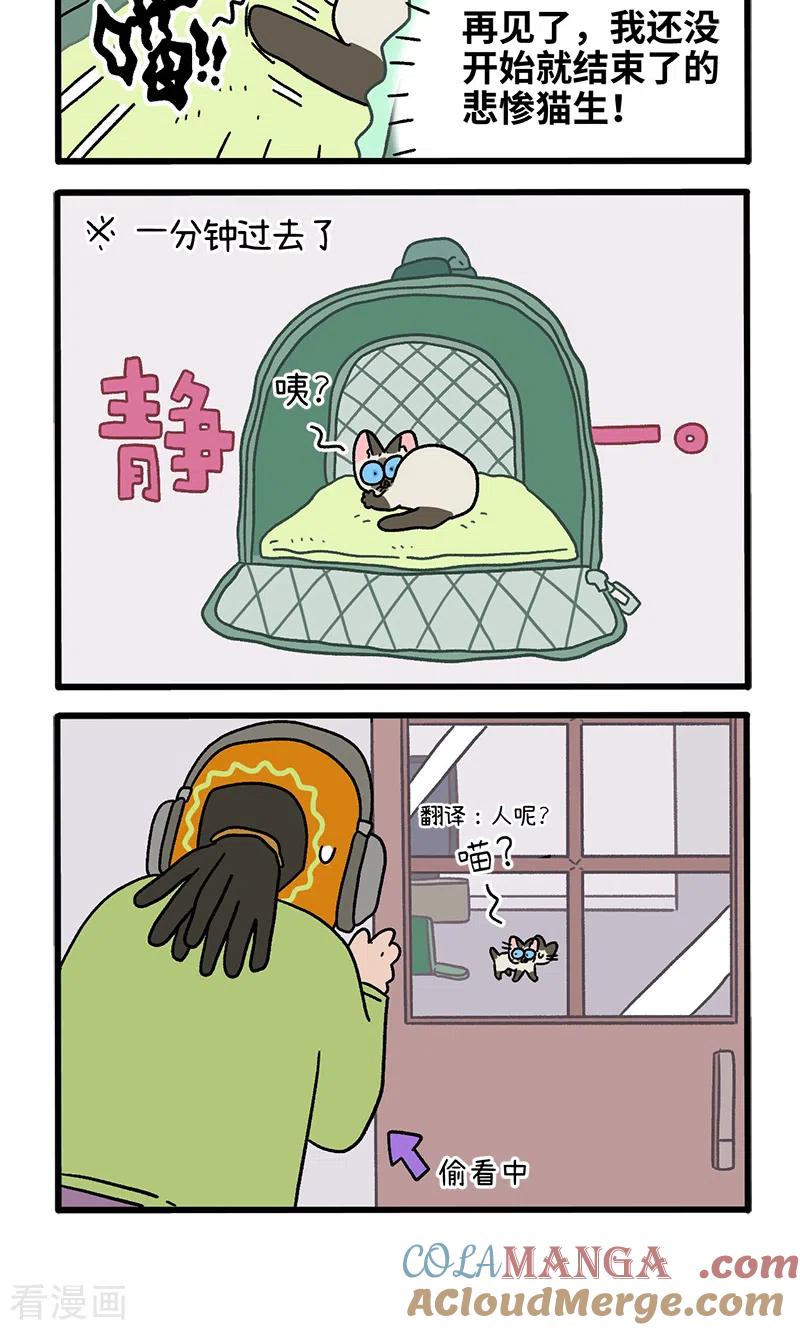 番外15下默默的新生活1-阿满和麦茶-新漫画 日胖大海寺（第4张）