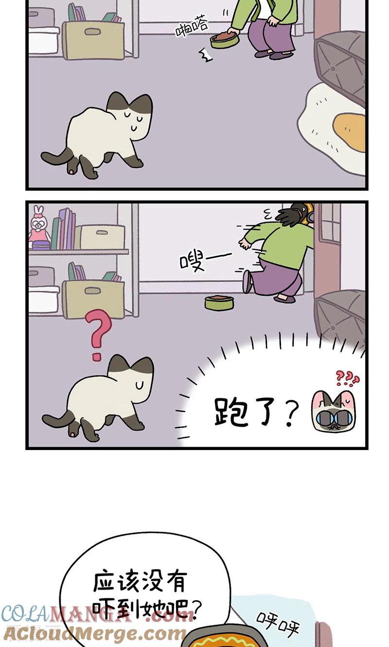 番外15下默默的新生活1-阿满和麦茶-新漫画 日胖大海寺（第6张）