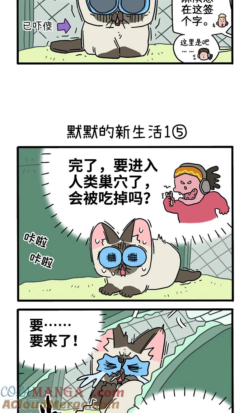 番外15下默默的新生活1-阿满和麦茶-新漫画 日胖大海寺（第3张）