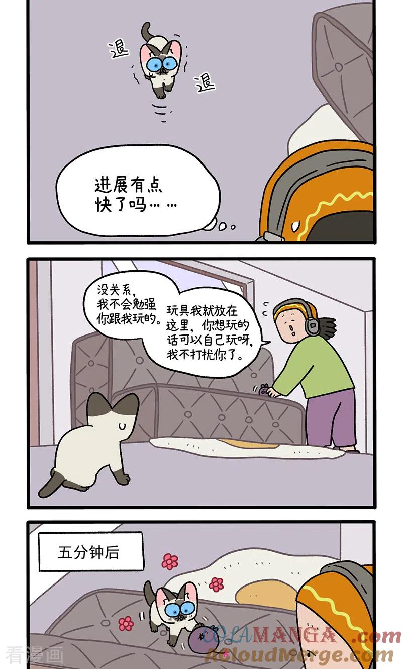 番外16上默默的新生活2-阿满和麦茶-新漫画 日胖大海寺（第2张）