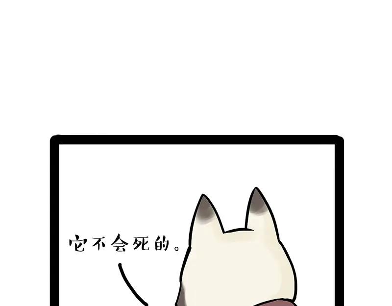 76.jpg
