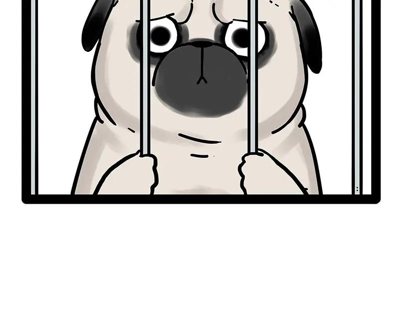 59.jpg