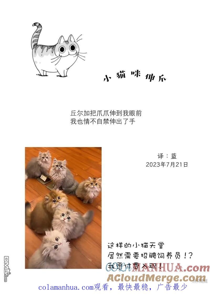 第176话-关于养猫我一直是新手-キュルZ（第2张）