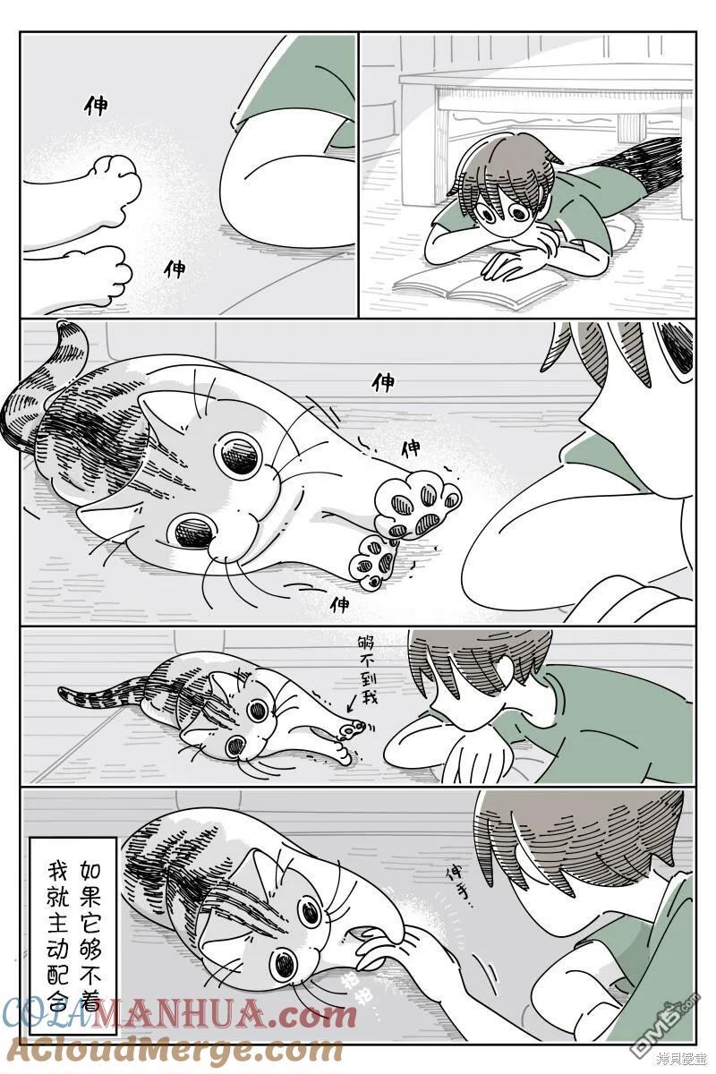第176话-关于养猫我一直是新手-キュルZ（第1张）
