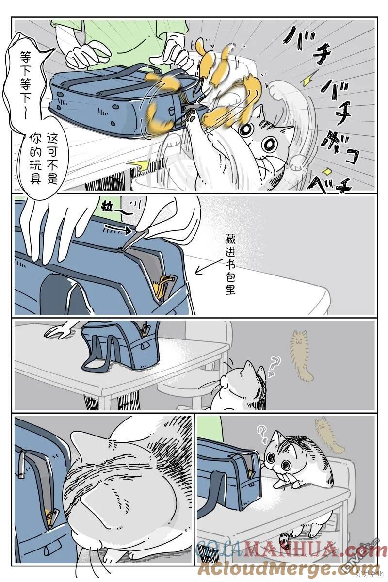 第182话-关于养猫我一直是新手-キュルZ（第1张）