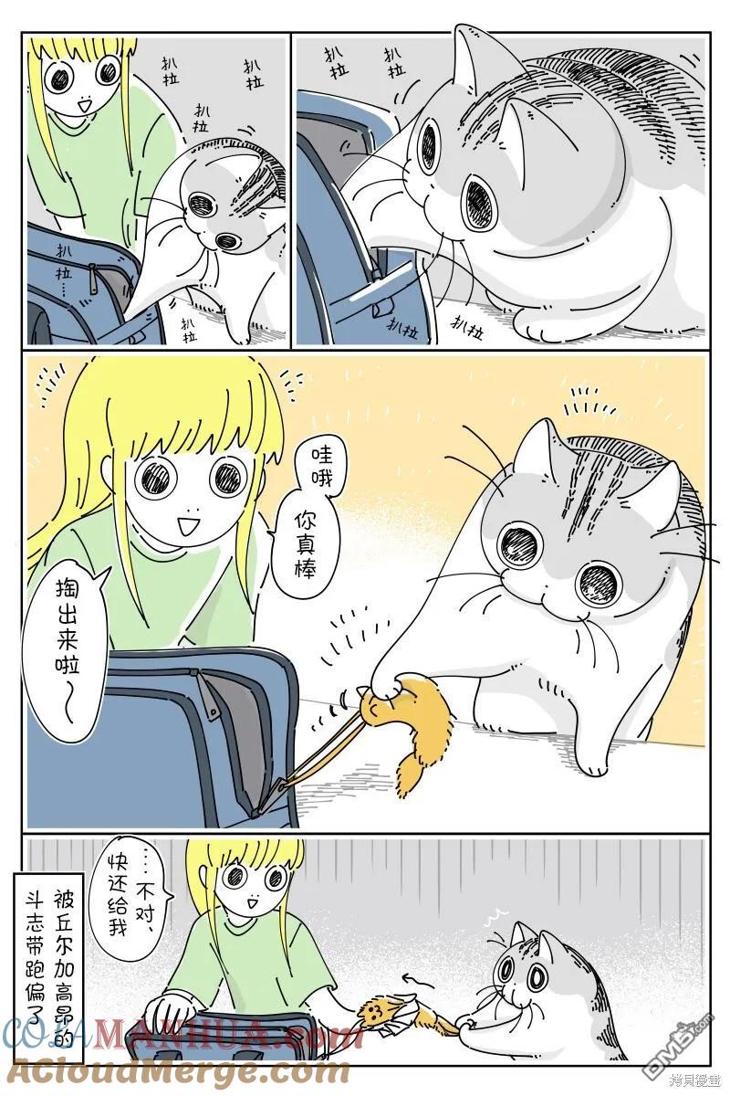 第182话-关于养猫我一直是新手-キュルZ（第2张）