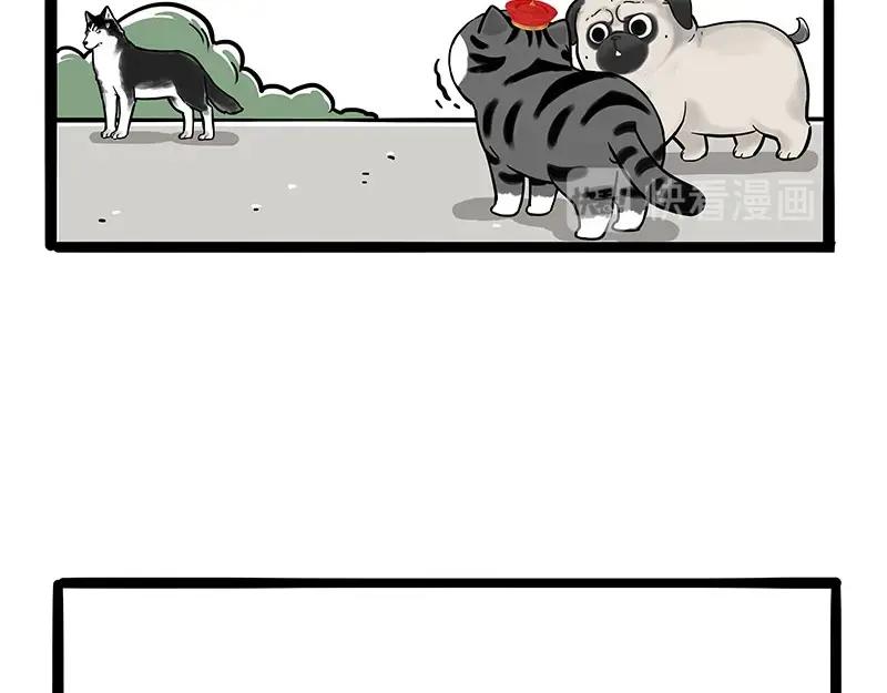 51.jpg