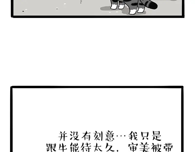 56.jpg