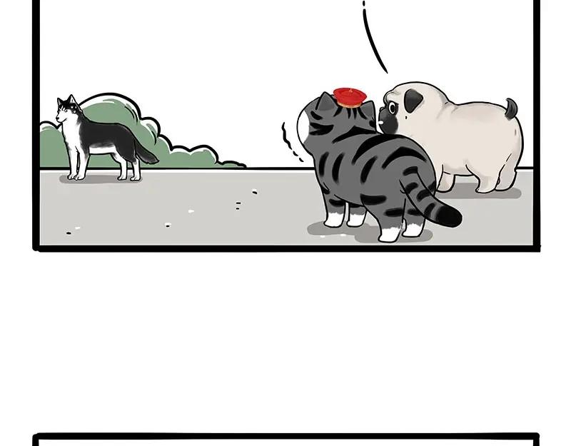 54.jpg
