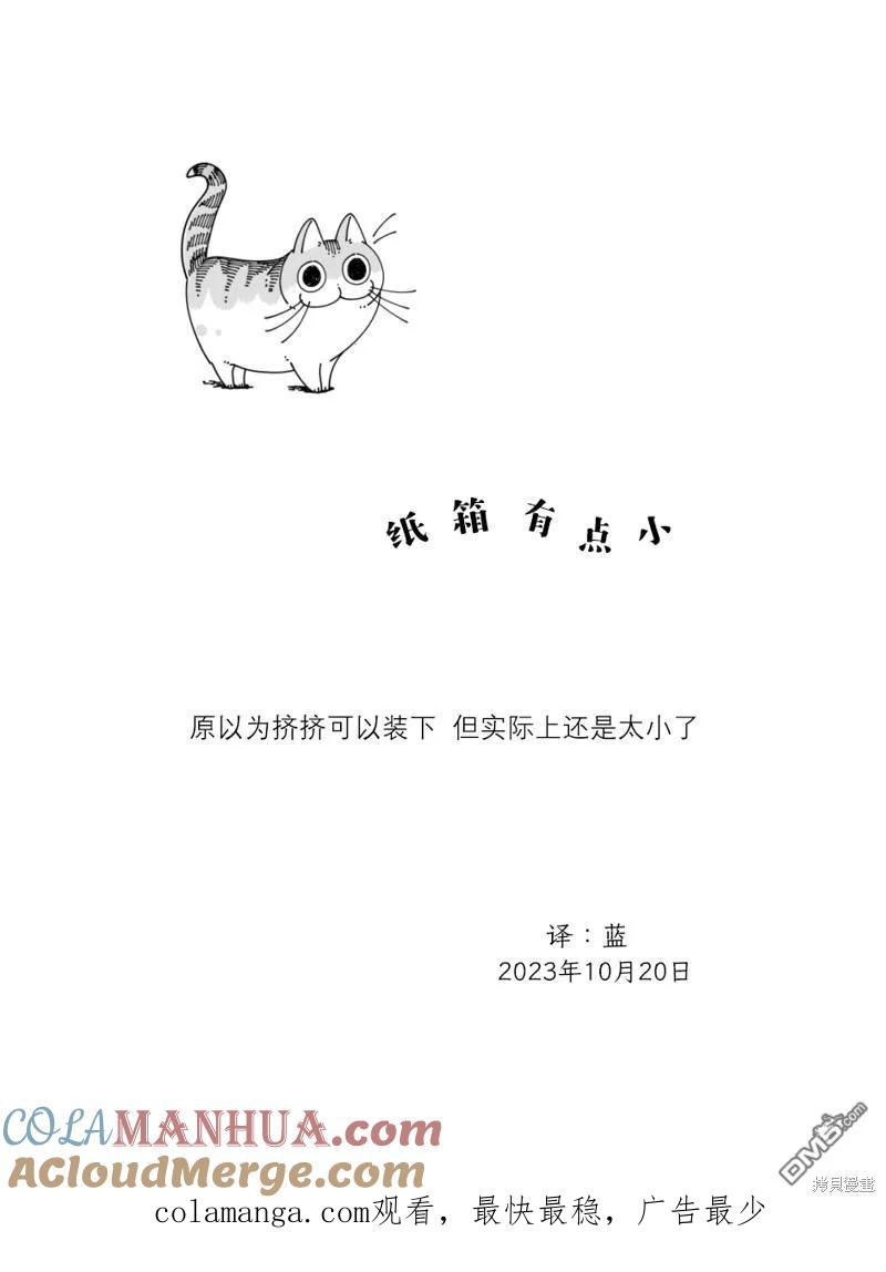 第188话-关于养猫我一直是新手-キュルZ（第3张）