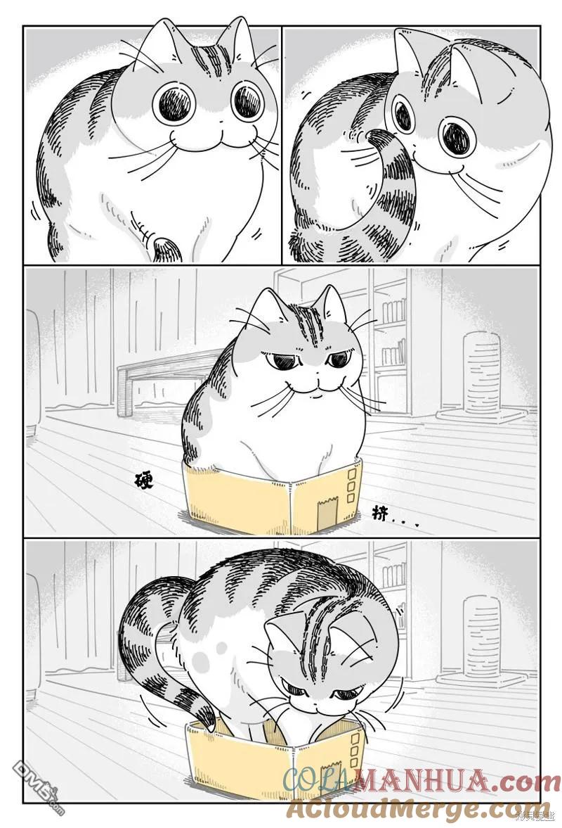 第188话-关于养猫我一直是新手-キュルZ（第1张）