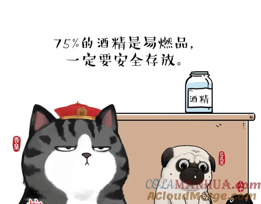 37.jpg