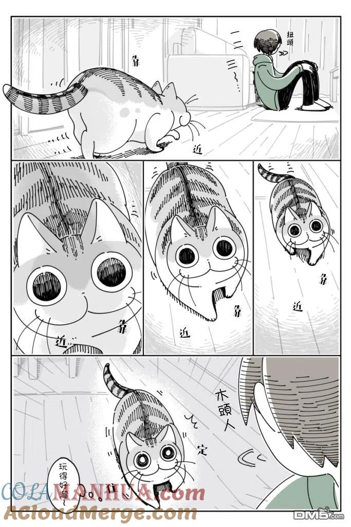 第38话-关于养猫我一直是新手-キュルZ（第2张）