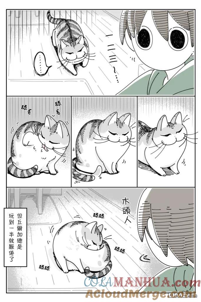 第38话-关于养猫我一直是新手-キュルZ（第3张）