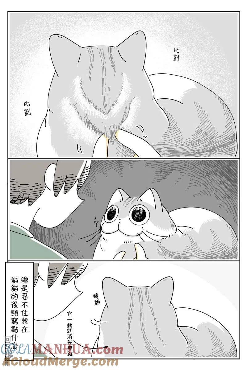 第74话-关于养猫我一直是新手-キュルZ（第2张）