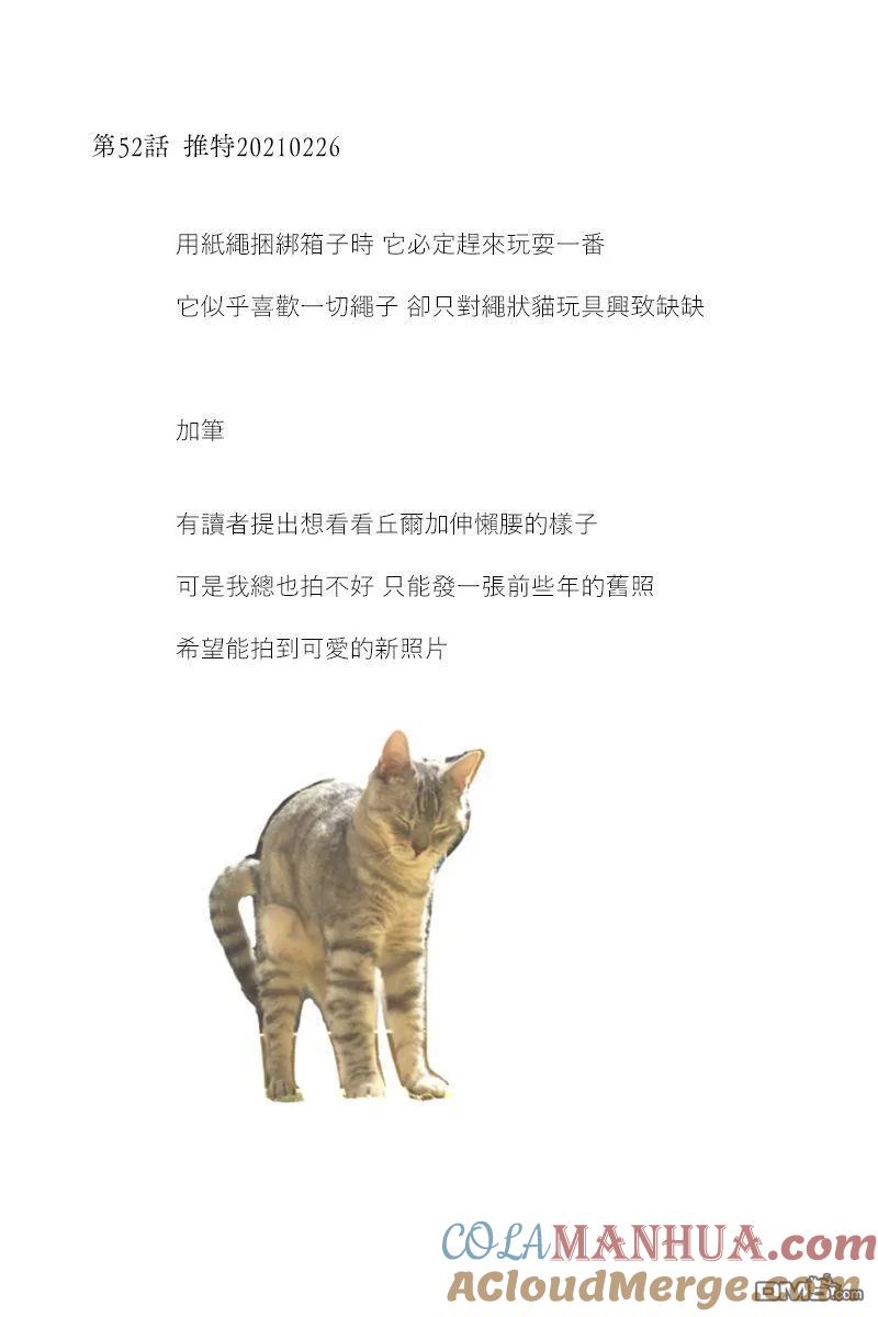 42-53后记-关于养猫我一直是新手-キュルZ（第5张）