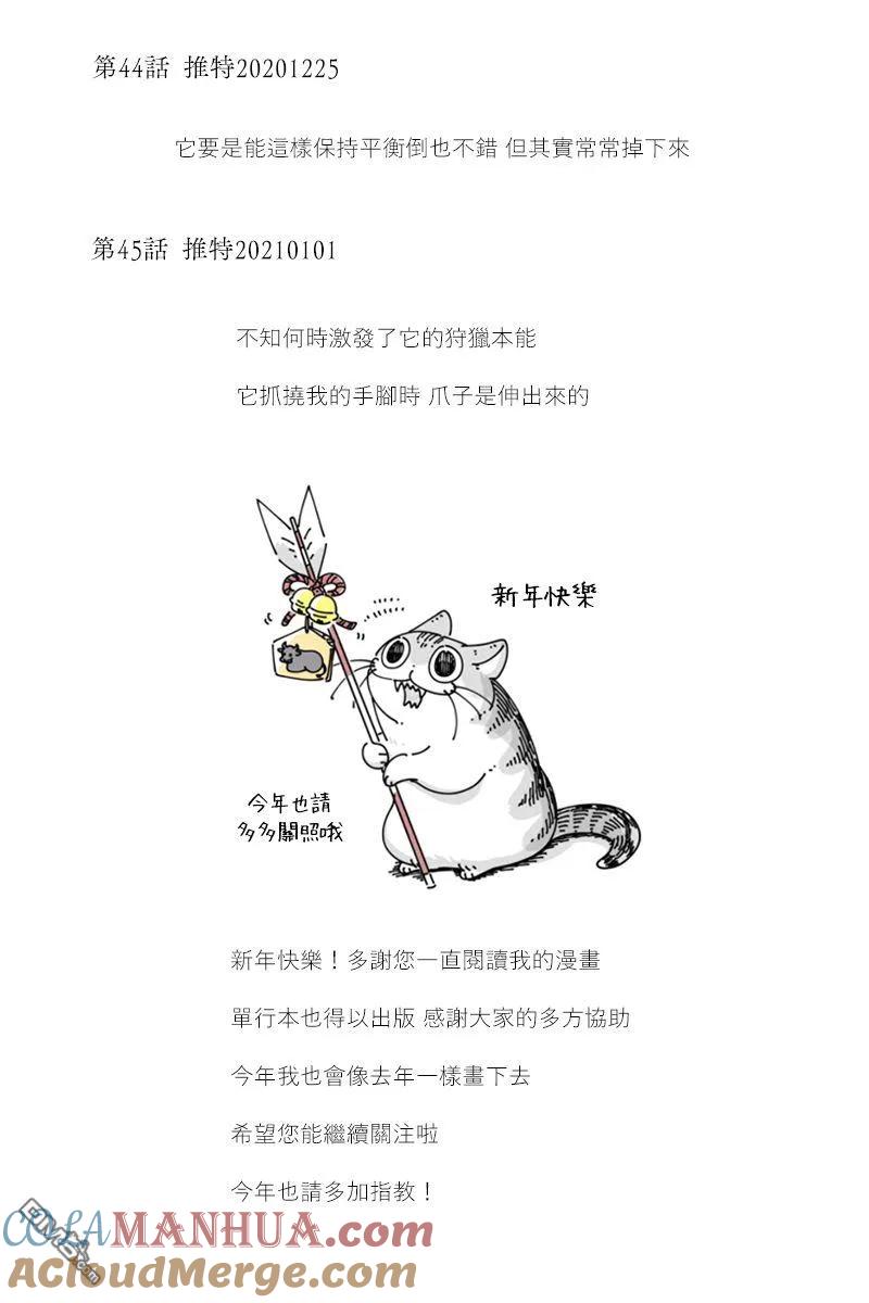 42-53后记-关于养猫我一直是新手-キュルZ（第1张）