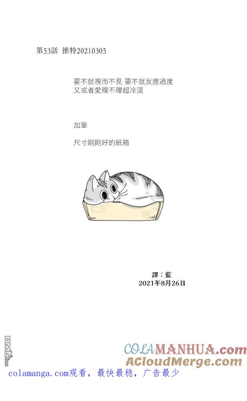 42-53后记-关于养猫我一直是新手-キュルZ（第6张）