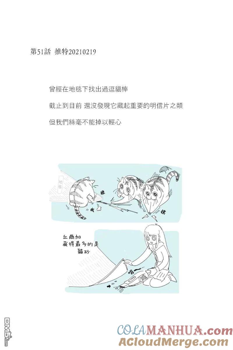 42-53后记-关于养猫我一直是新手-キュルZ（第4张）