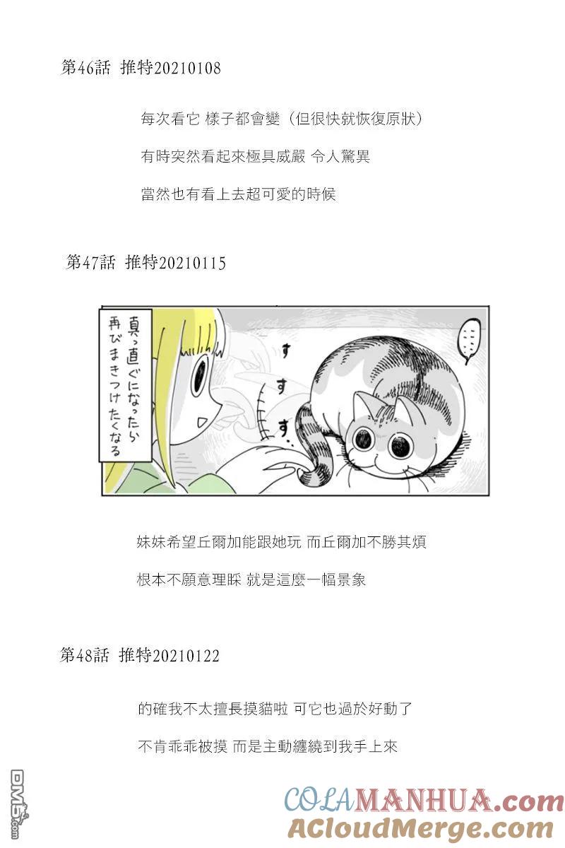 42-53后记-关于养猫我一直是新手-キュルZ（第2张）