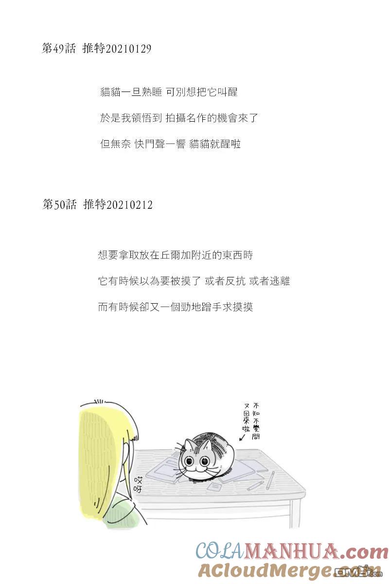 42-53后记-关于养猫我一直是新手-キュルZ（第3张）