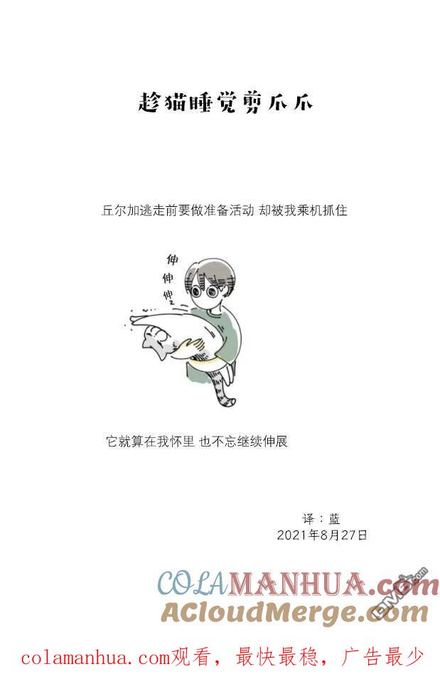 第79话-关于养猫我一直是新手-キュルZ（第3张）