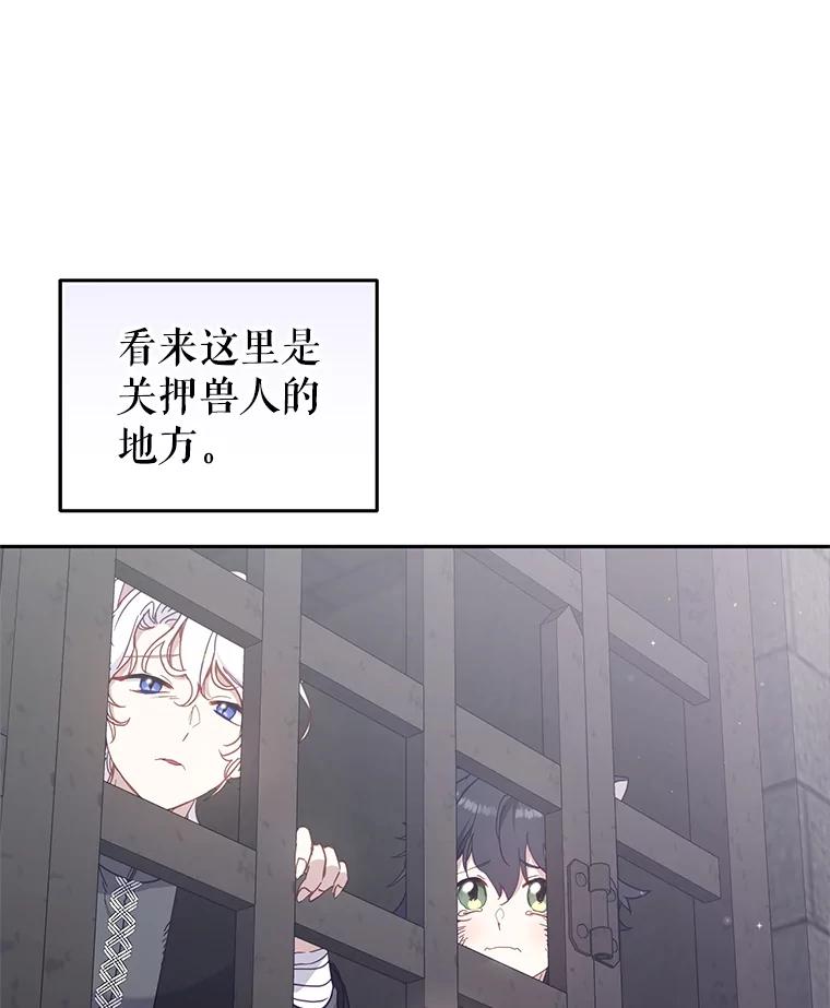 71.jpg