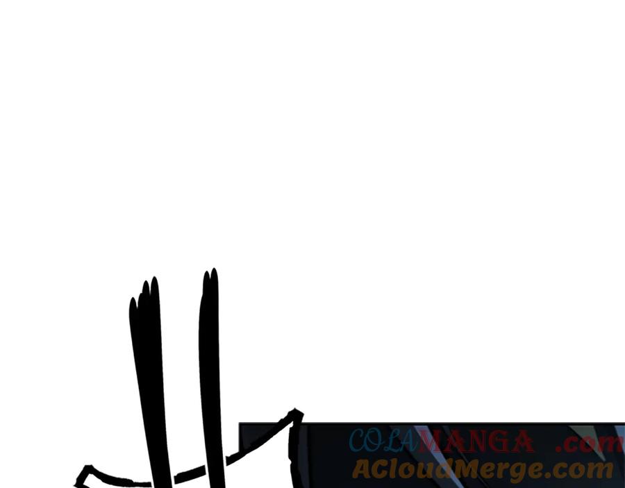 169.jpg
