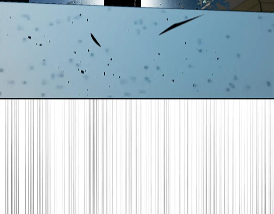 204.jpg