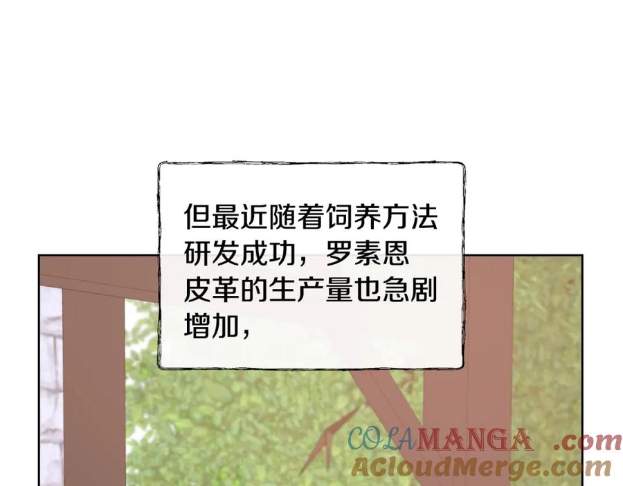 117.jpg