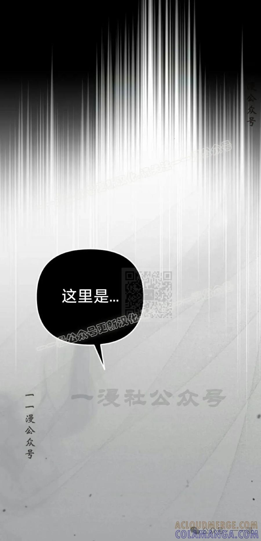 97.jpg